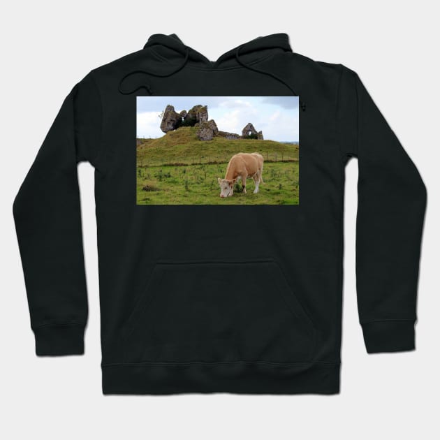 Ireland ruins Hoodie by croper